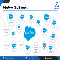 looking for salesforce implementation service in usa